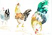 Pecking Order - Farmyard Animals