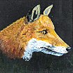 Fox - Wild Animals