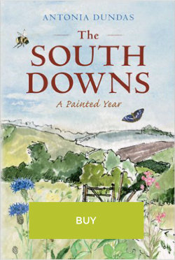 Buy the The South Downs: A Painted Year